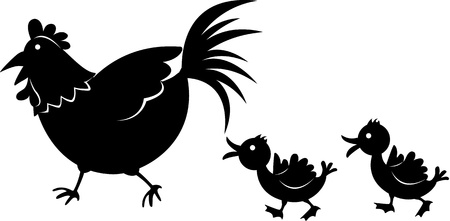 illustration of images of shadows of cock and chicken on whiteのイラスト素材