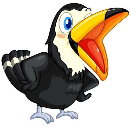 Illustration of a toucan on white backgroundのイラスト素材