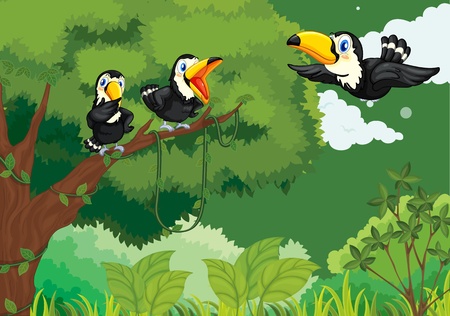 Illustrations of a family of toucans in the jungleのイラスト素材