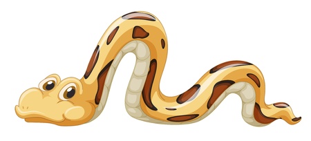 Slithering snake on a white background