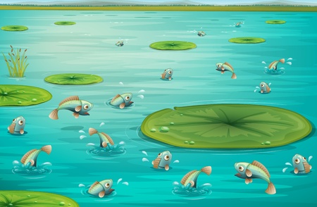 Illustration of fish jumping in a pondのイラスト素材