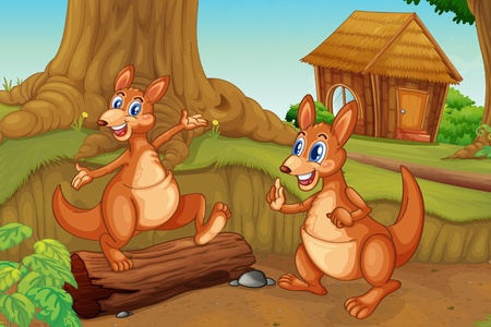 Illustration of 2 kangaroos in the wildのイラスト素材