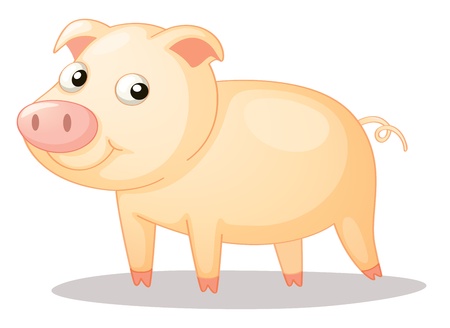 Illustration of a cute piggyのイラスト素材