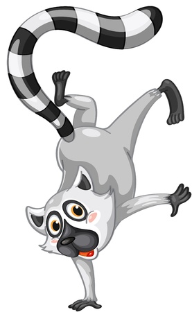 Illustration of a comical lemurのイラスト素材