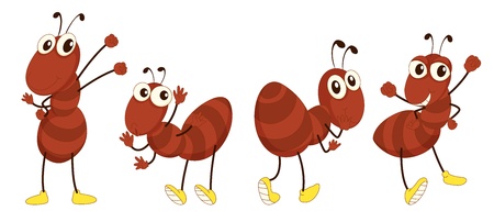 Illustration of a set of brown antsのイラスト素材