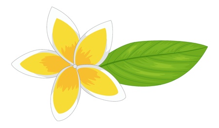 Illustration of a simple flower decorationのイラスト素材