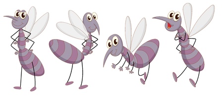 Illustration of a set of mosquitosのイラスト素材