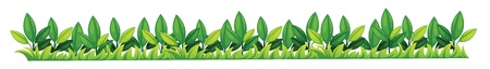 Illustration of a grass textureのイラスト素材