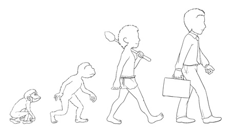 Illustration of evolution outline on whiteのイラスト素材