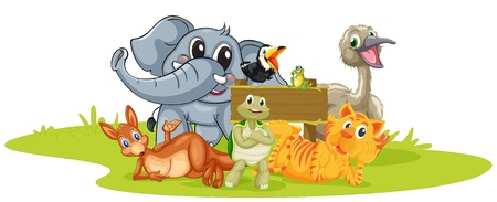 illustration of various animals on a white backgroundのイラスト素材