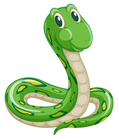illustration of green snake on a white background illustration of green snake on a white background