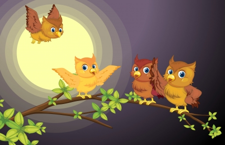 illustration of four owls on the tree branch in nightのイラスト素材