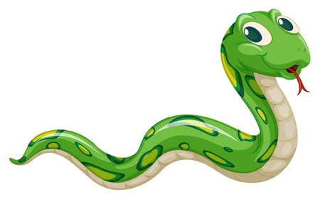 illustration of green snake on a white background