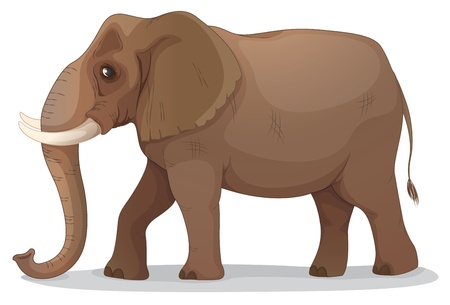 illustration of an elephant on a white backgroundのイラスト素材