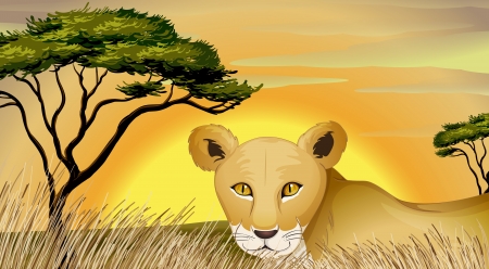 illustration of a tiger and tree in natureのイラスト素材