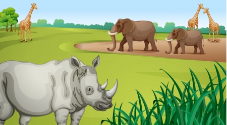 illustration of Various animals in a beautiful natureのイラスト素材