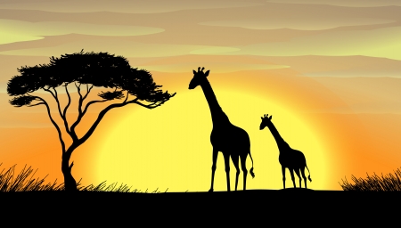 illustration of Giraffe in a beautiful natureのイラスト素材