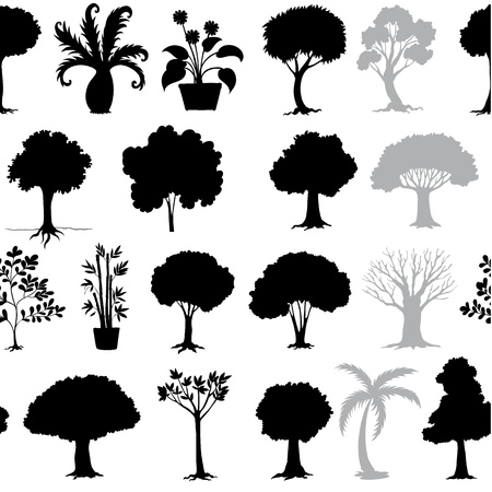 illustration of various trees on a white backgroundのイラスト素材