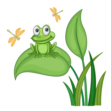 illustration of green frog sitting on a bush on whiteのイラスト素材