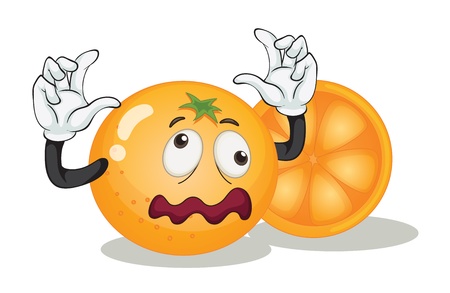 illustration of orange on a white backgroundのイラスト素材