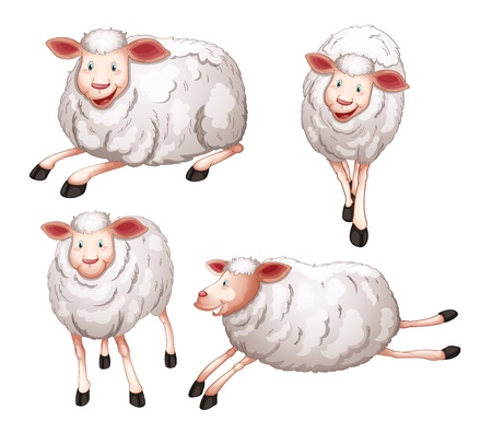 illustration of four sheeps on a white backgroundのイラスト素材