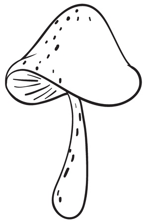 detailed illustration a mushroom sketch on a white backgroundのイラスト素材