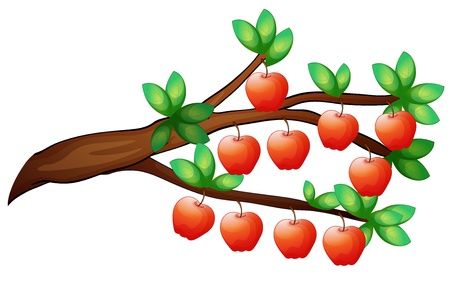 illustration of apples on a white backgroundのイラスト素材