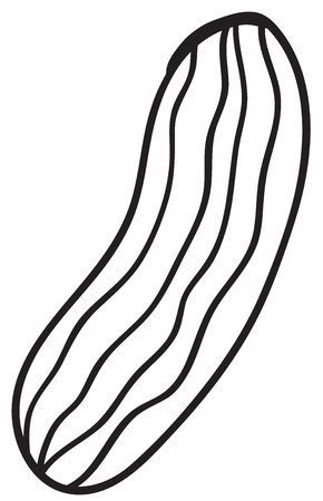 Illustraiton of a simple vegetable illustration on whiteのイラスト素材