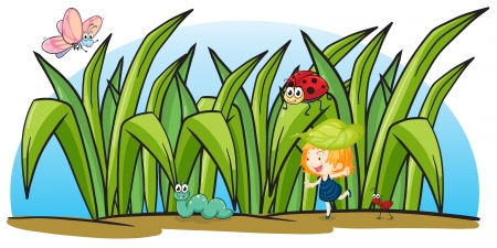 illustration of various insects and a girl on a white backgroundのイラスト素材