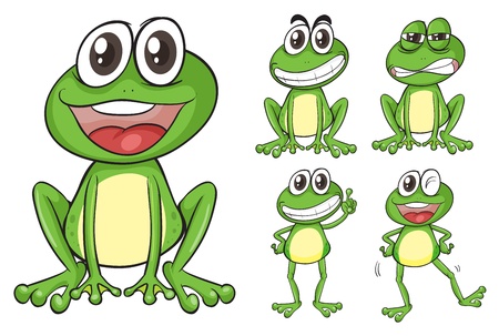 Illustration of frogs on a white backgroundのイラスト素材
