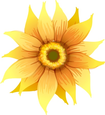 Illustration of a yellow flower on a white backgroundのイラスト素材