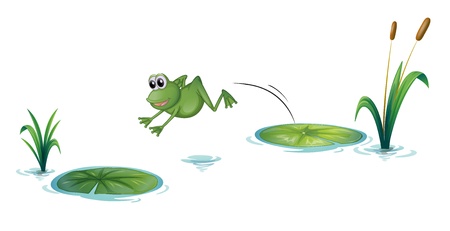 Illustration of a jumping frog on a white backgroundのイラスト素材