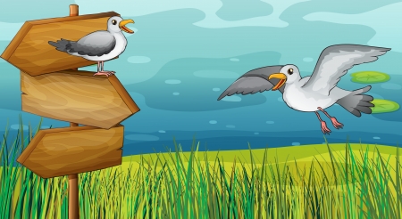Illustration of two chirping birds in the fieldのイラスト素材