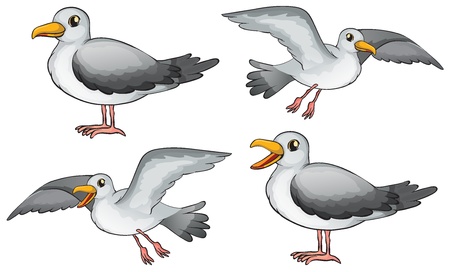 Illustration of four birds on a white backgroundのイラスト素材