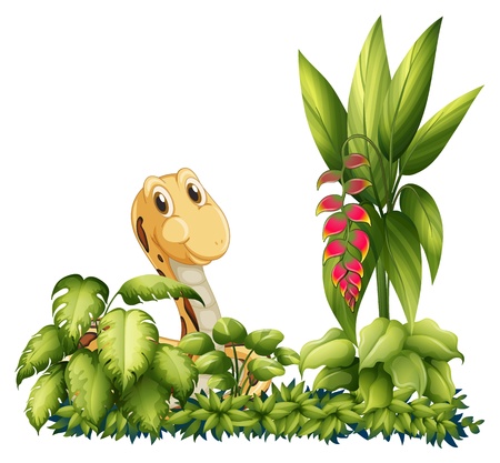 Illustration of a peeking snake on a white backgroundのイラスト素材