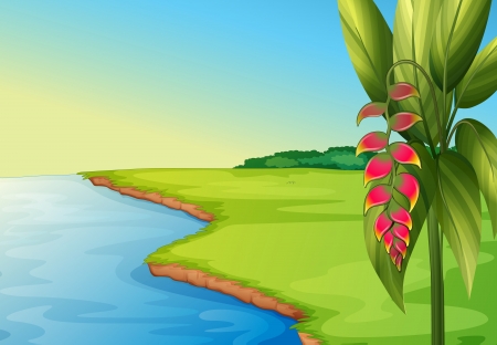 Illustration of a panoramic viewのイラスト素材