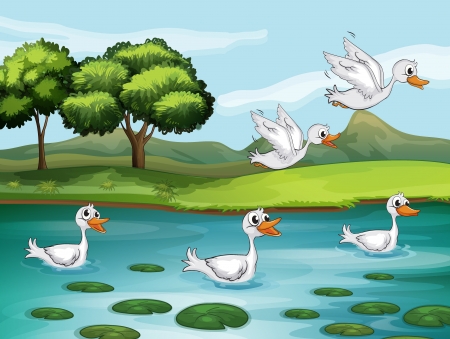Illustration of ducks and water in a beautiful natureのイラスト素材