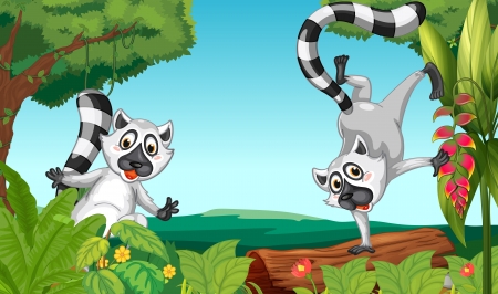 Illustration of wild lemurs in the jungleのイラスト素材