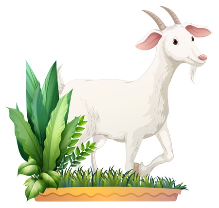 Illustration of a white goat on a white backgroundのイラスト素材