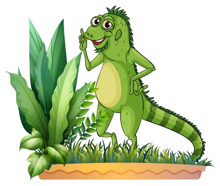 Illustration of a big reptile on a white backgroundのイラスト素材