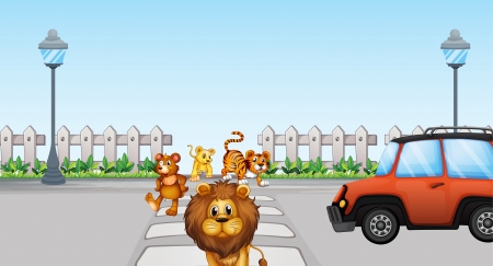 Illustration of wild animals crossing and a car in the roadのイラスト素材