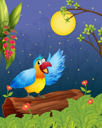 Illustration of a colorful parrot in a bright eveningのイラスト素材