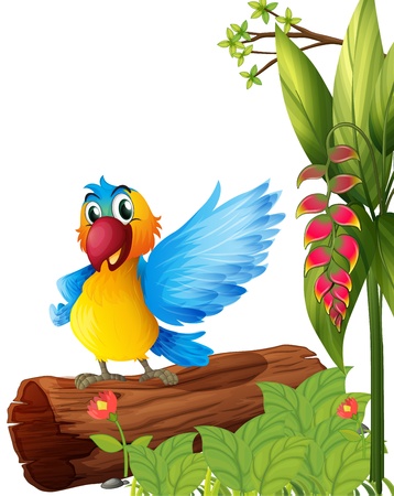 Illustration of a colorful parrot on a white backgroundのイラスト素材