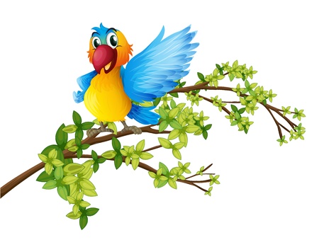 Illustration of a colorful parrot on a branch of a tree on a white background のイラスト素材