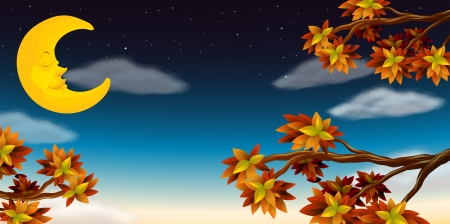 Illustration of the half moonのイラスト素材