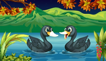 Illustration of two ducks in the riverのイラスト素材
