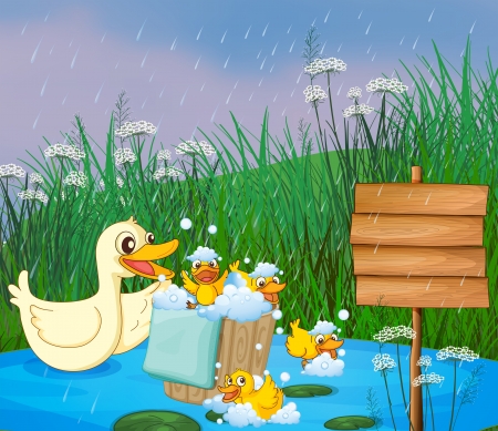Illustration of a mother duck with her ducklings playing under the rainのイラスト素材