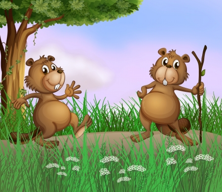 Illustration of the two beavers playing in the forestのイラスト素材
