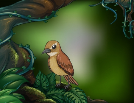 Illustration of a bird at the rainforestのイラスト素材
