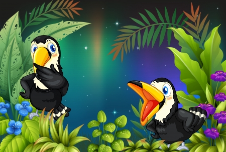 Illustration of two birds at the rainforestのイラスト素材